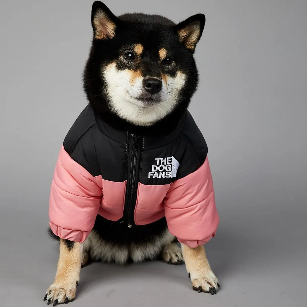 Schöne The Dog Face Winterjacke